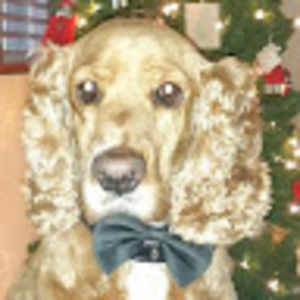 Meet your Posher, Connie